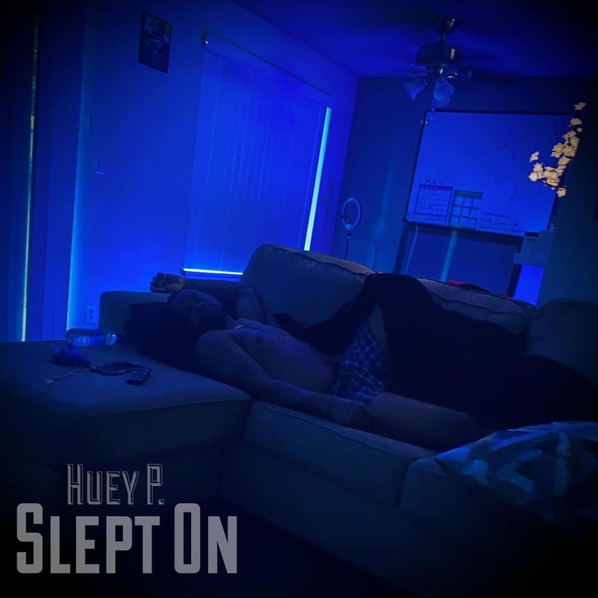 Album cover of Slept On