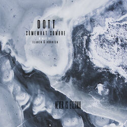 Cover of Somewhat Sombre