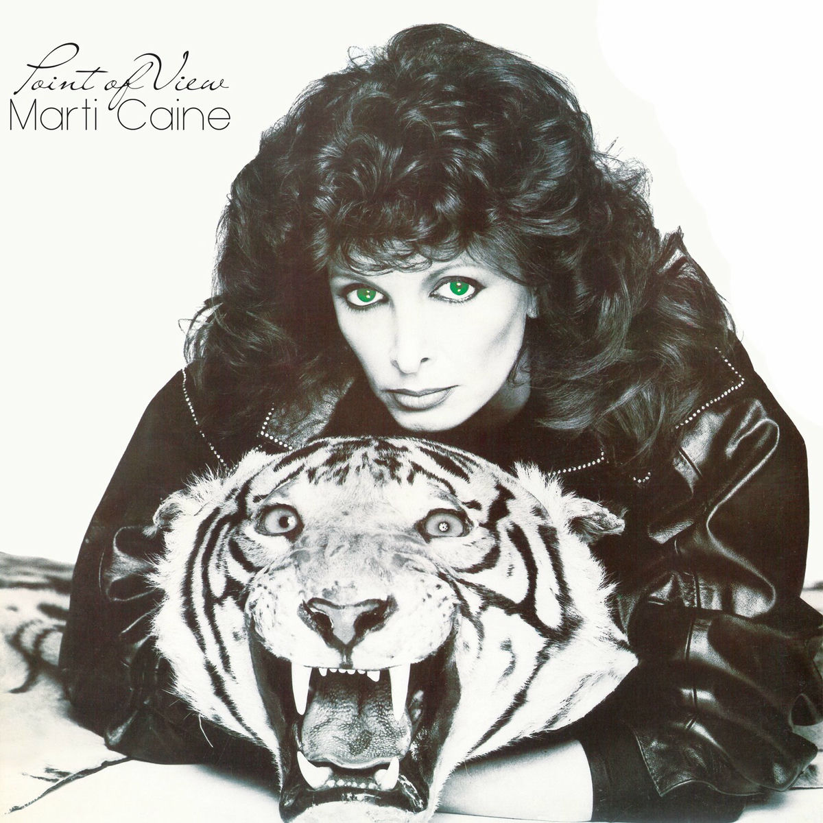 Album cover of Point of View