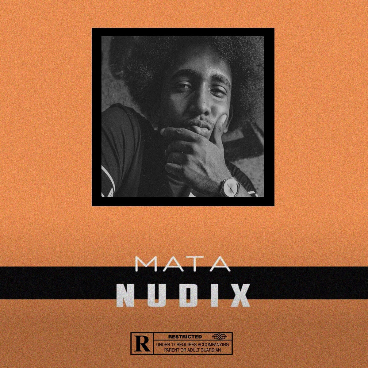 Album cover of Nudix