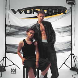 Cover of Wonder