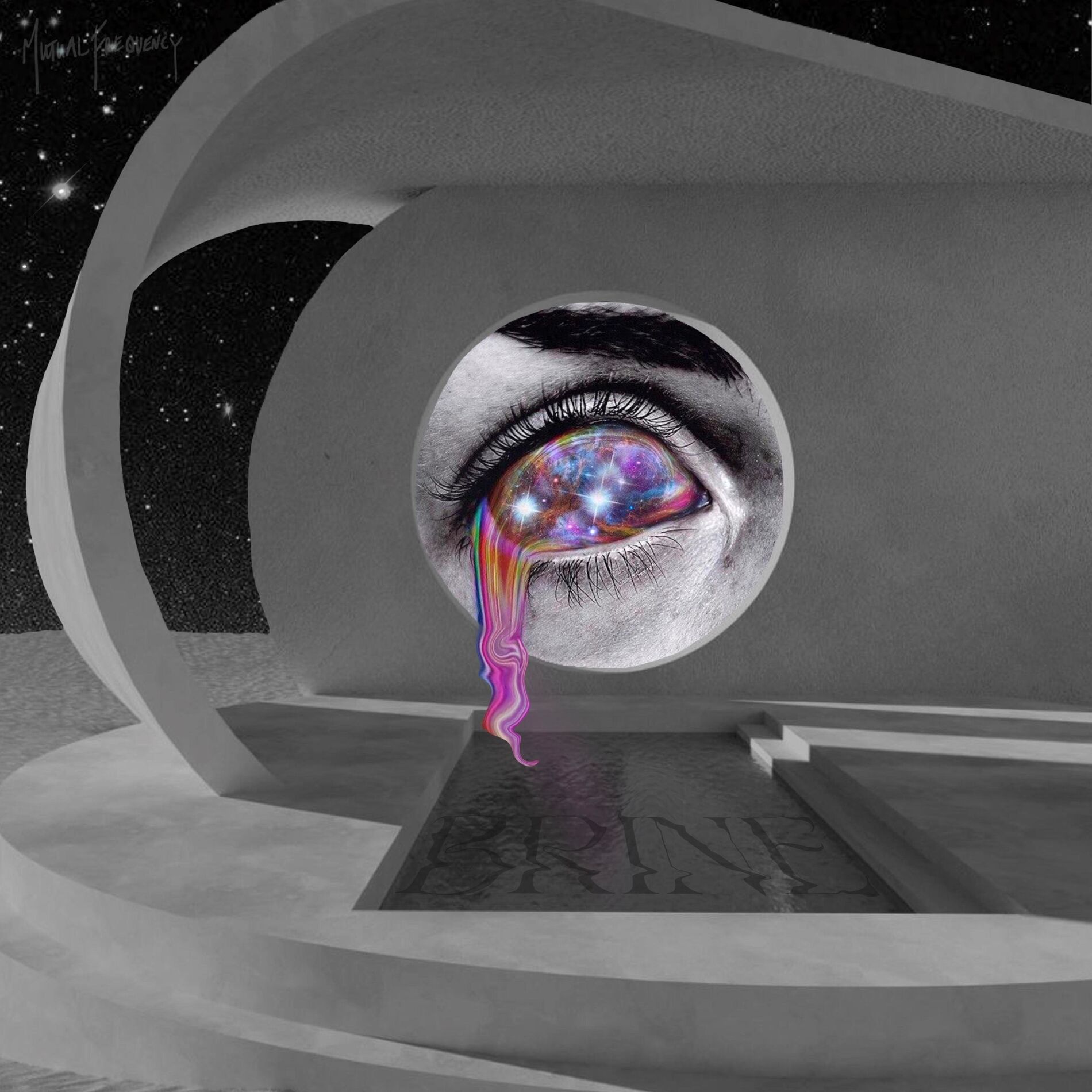 Album cover of BRINE