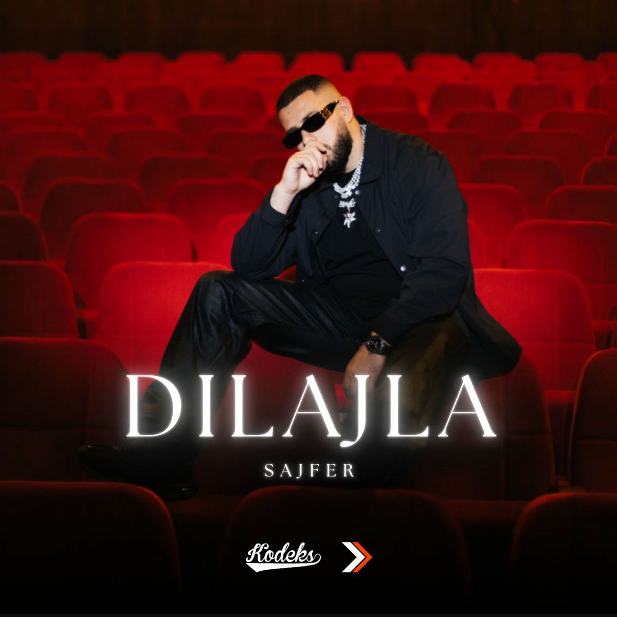 Album cover of Dilajla