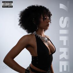 Cover of 7 sifre