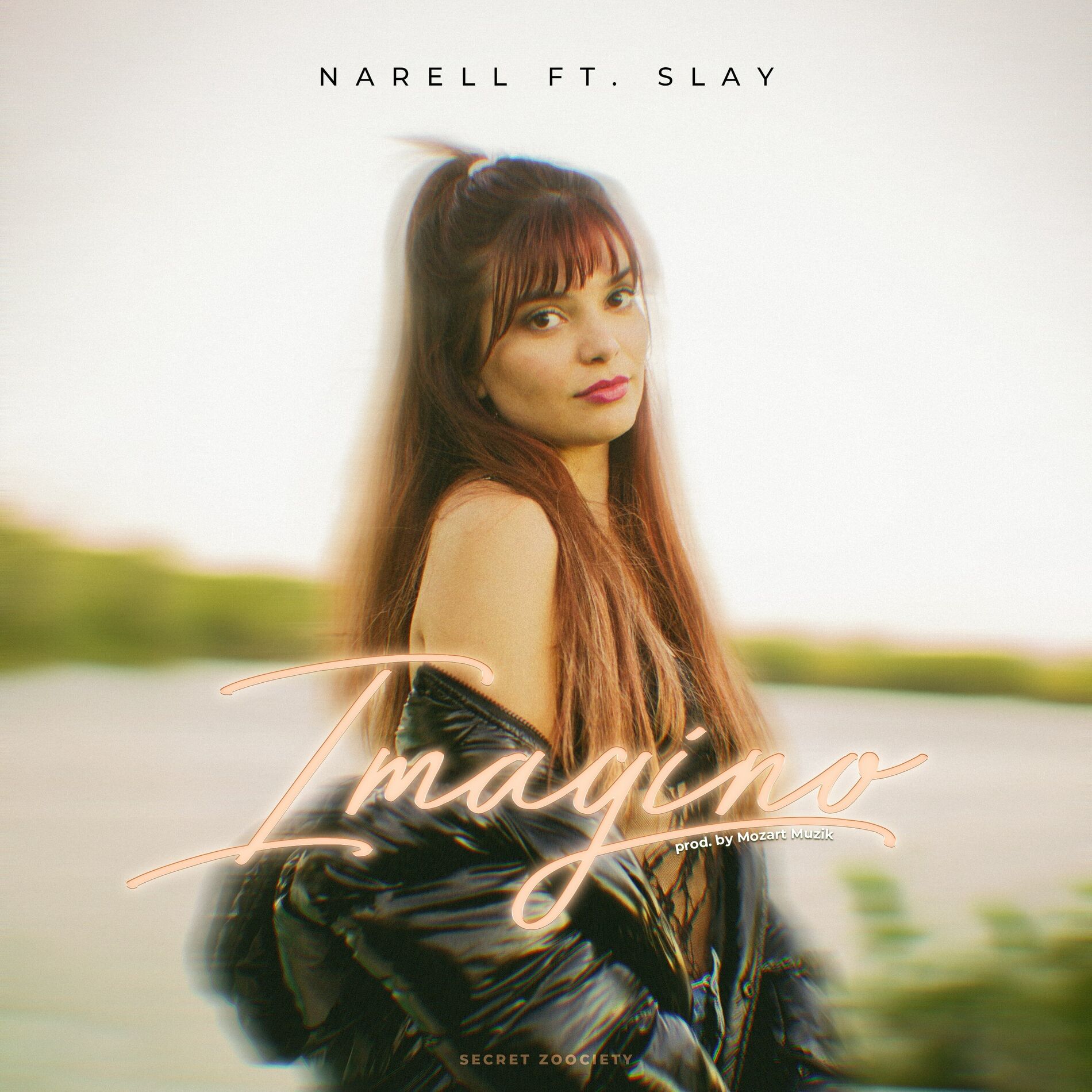 Album cover of Imagino