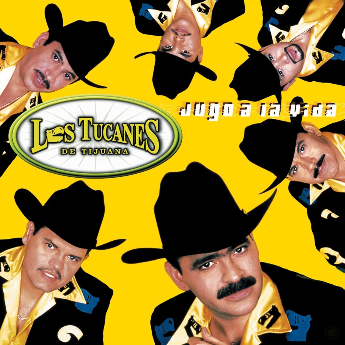 Album cover of Jugo A La Vida