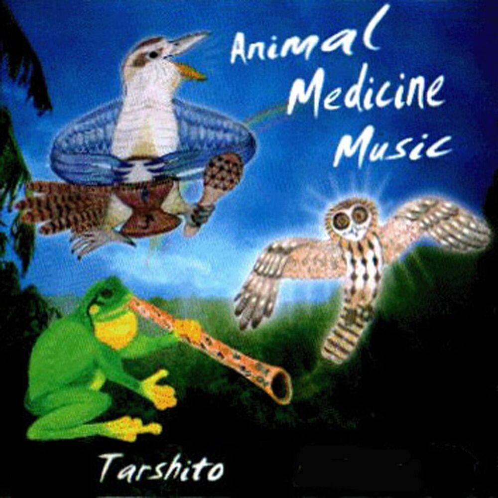 Picture of Animal Medicine Music