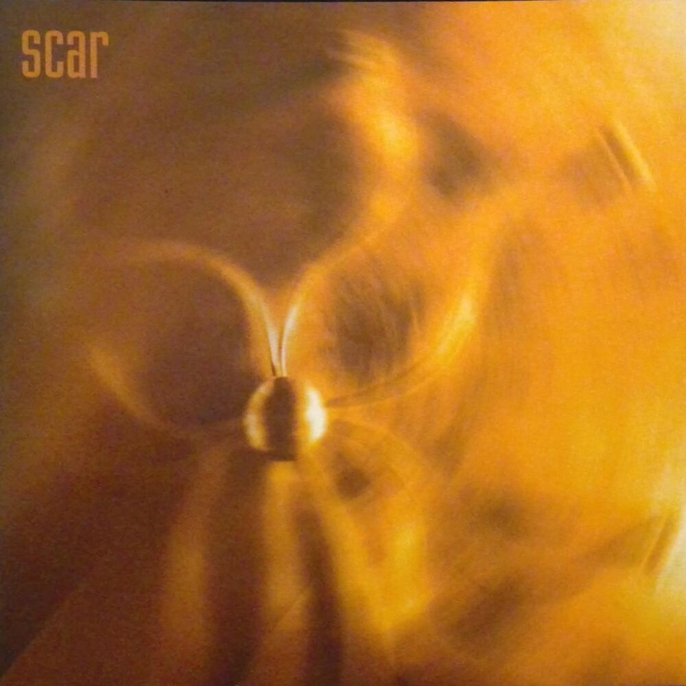 Picture of Scar