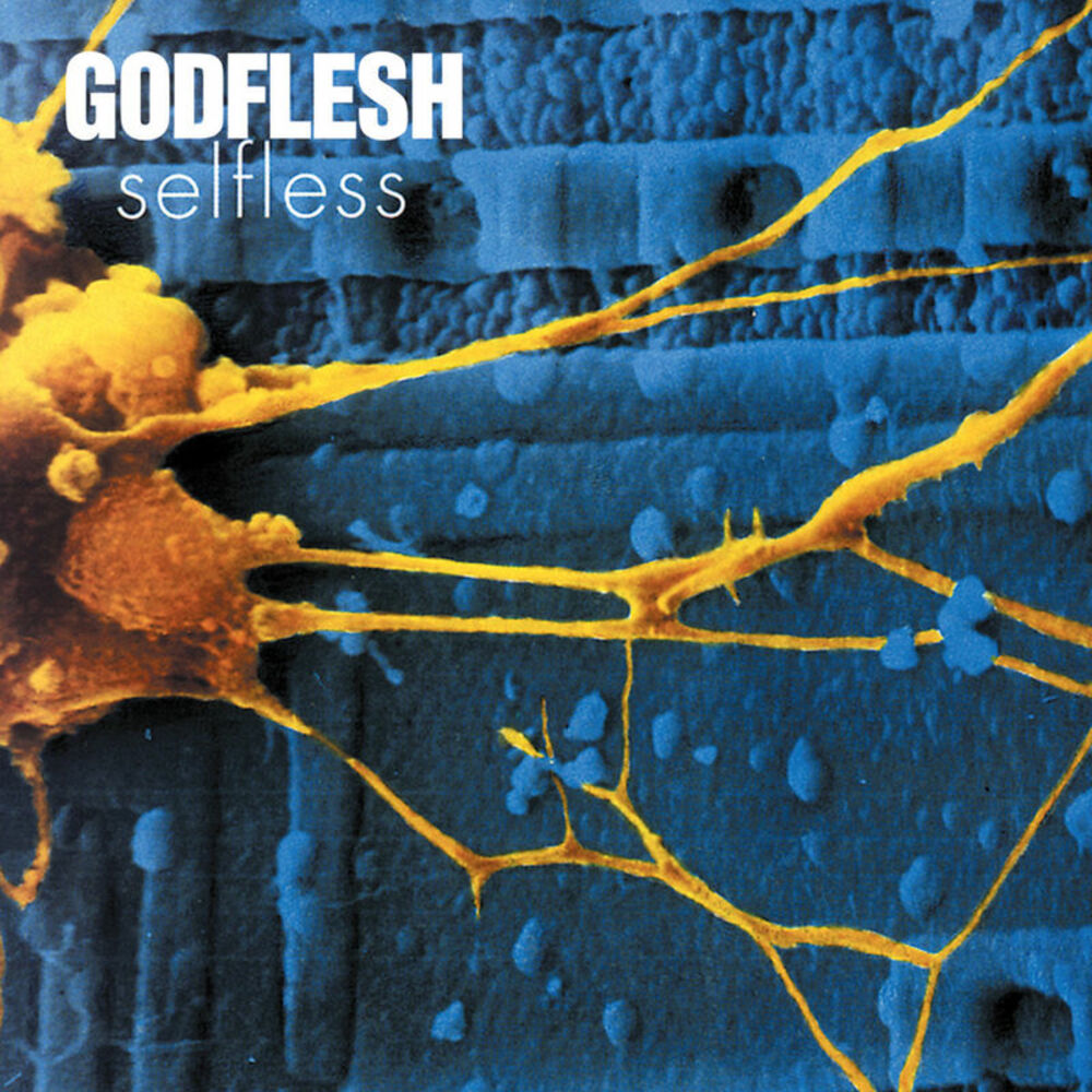 Picture of Selfless