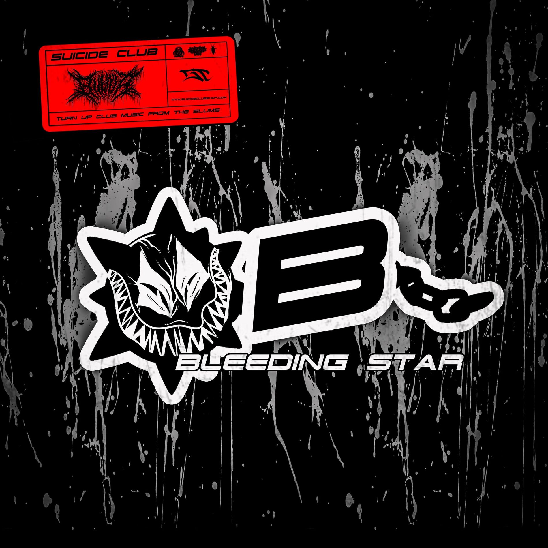 Album cover of Bleeding Star