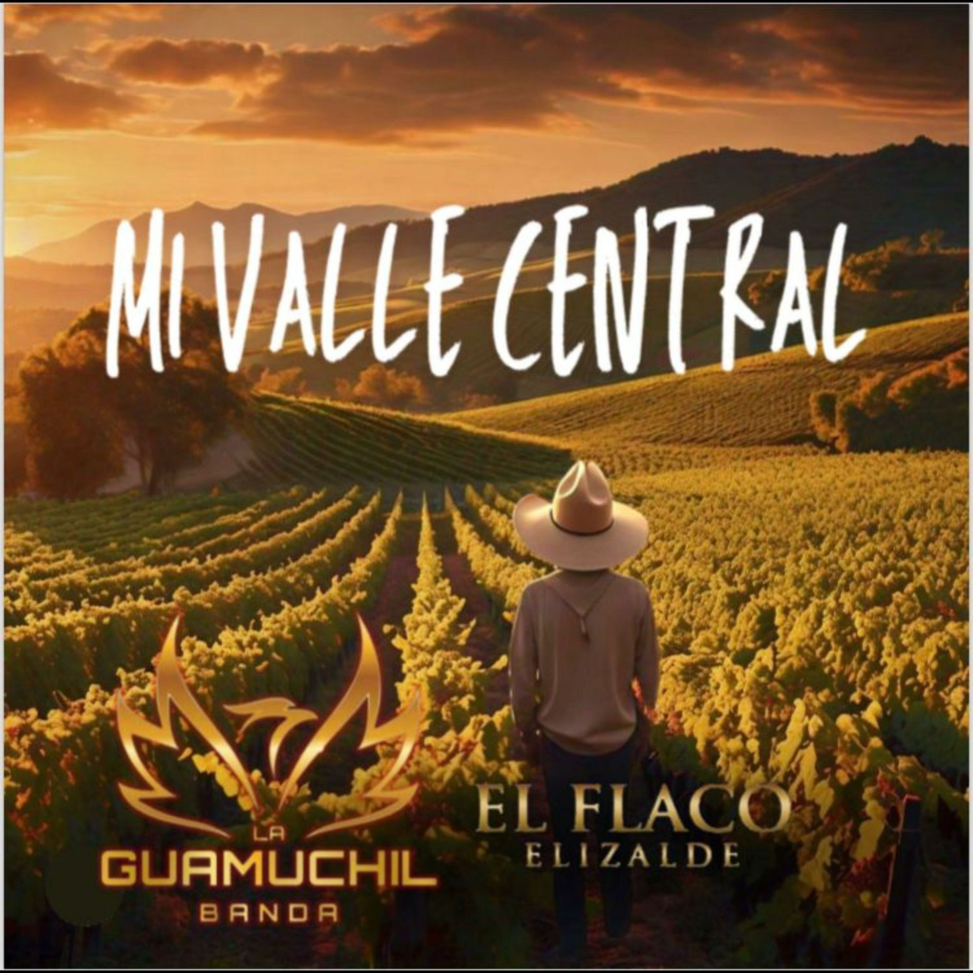 Album cover of Mi valle central (feat. El flaco Elizalde)