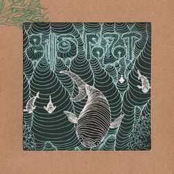 Cover of Micro​-​vertige et l'exp​é​rience du flottement