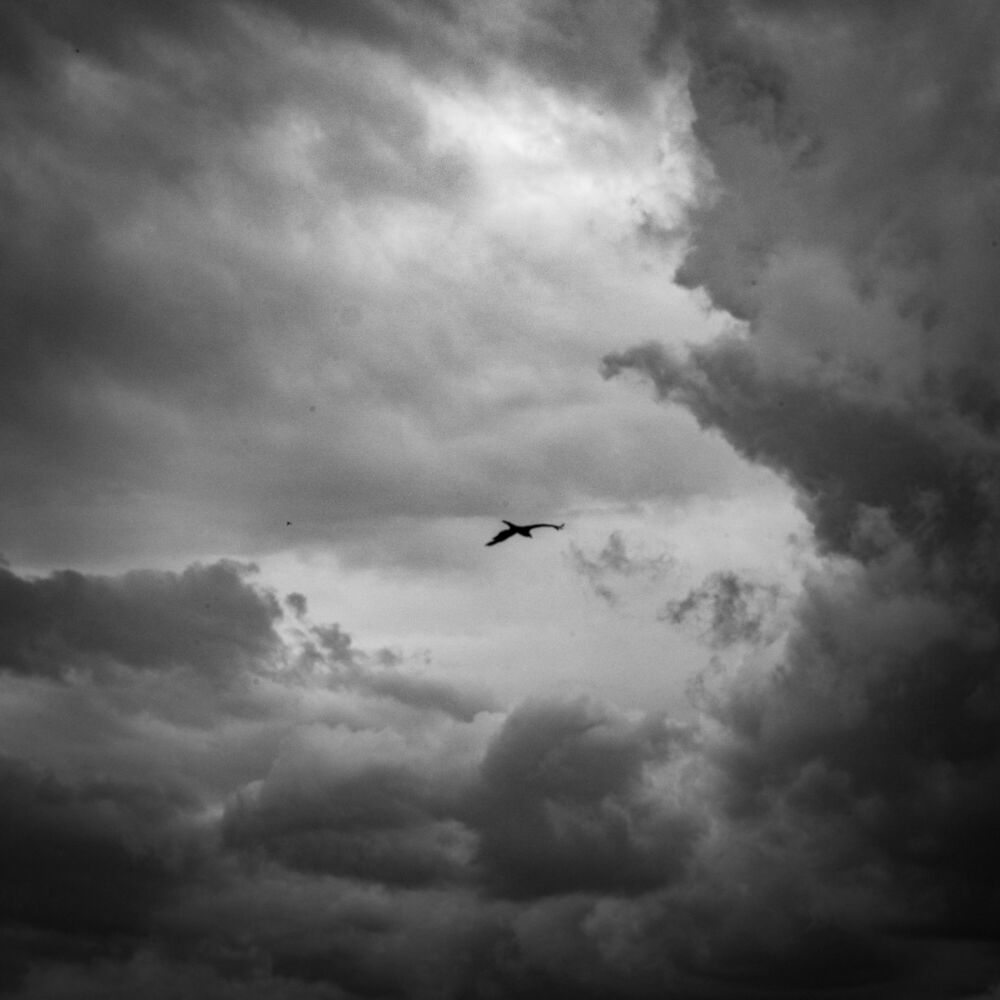 Picture of 60 Minute Meditations: Finding Feelings