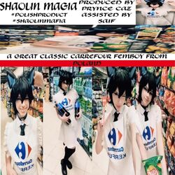 Cover of shaolin mafia