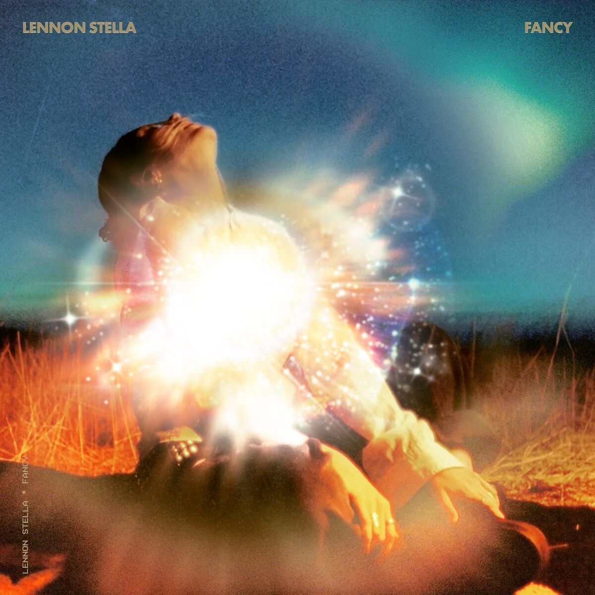 Album cover of Fancy