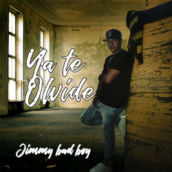 Cover of Ya Te Olvide