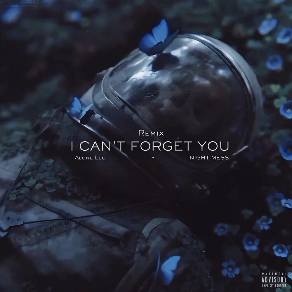Picture of I Can't Forget You (Remix)