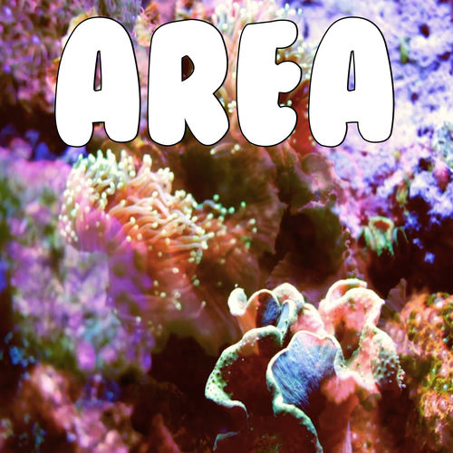 Area (Tribute to Magnus The Magnus)