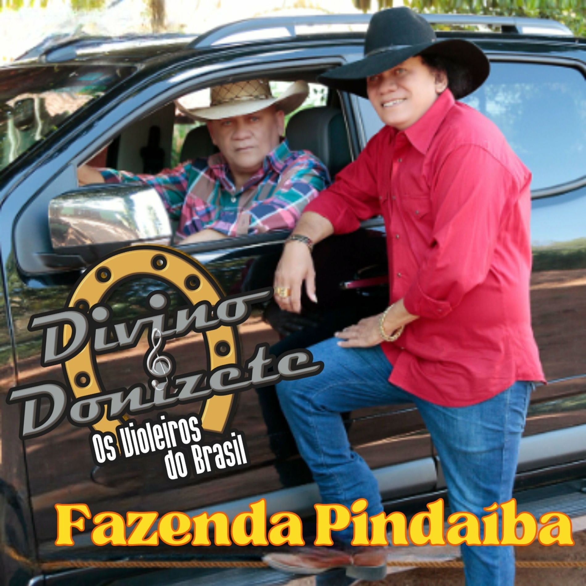 Album cover of Fazenda Pindaíba
