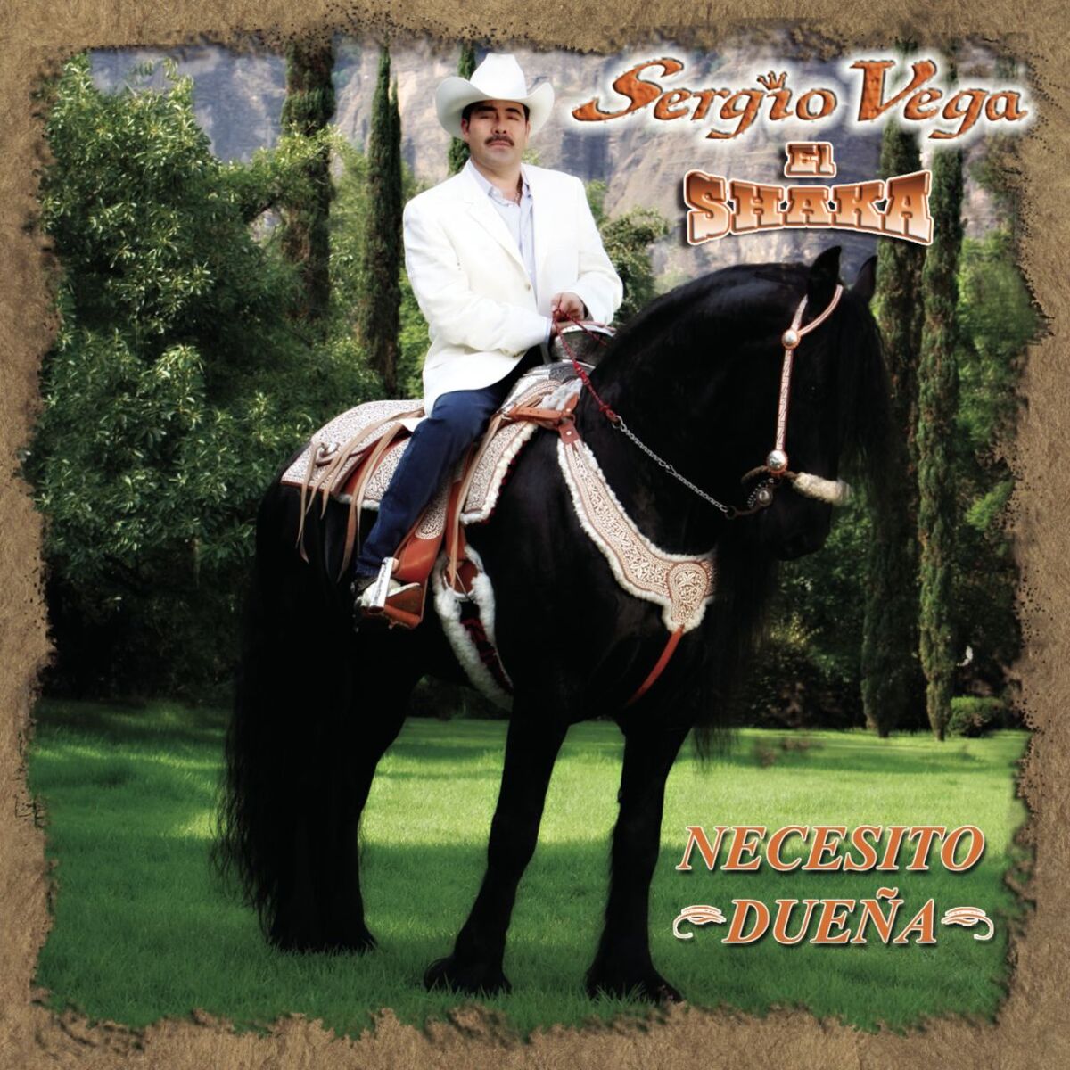 Album cover of Necesito Dueña