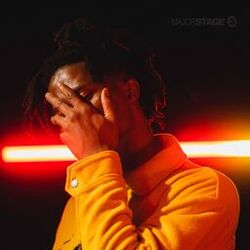 Cover of Disturb (MajorStage Live)