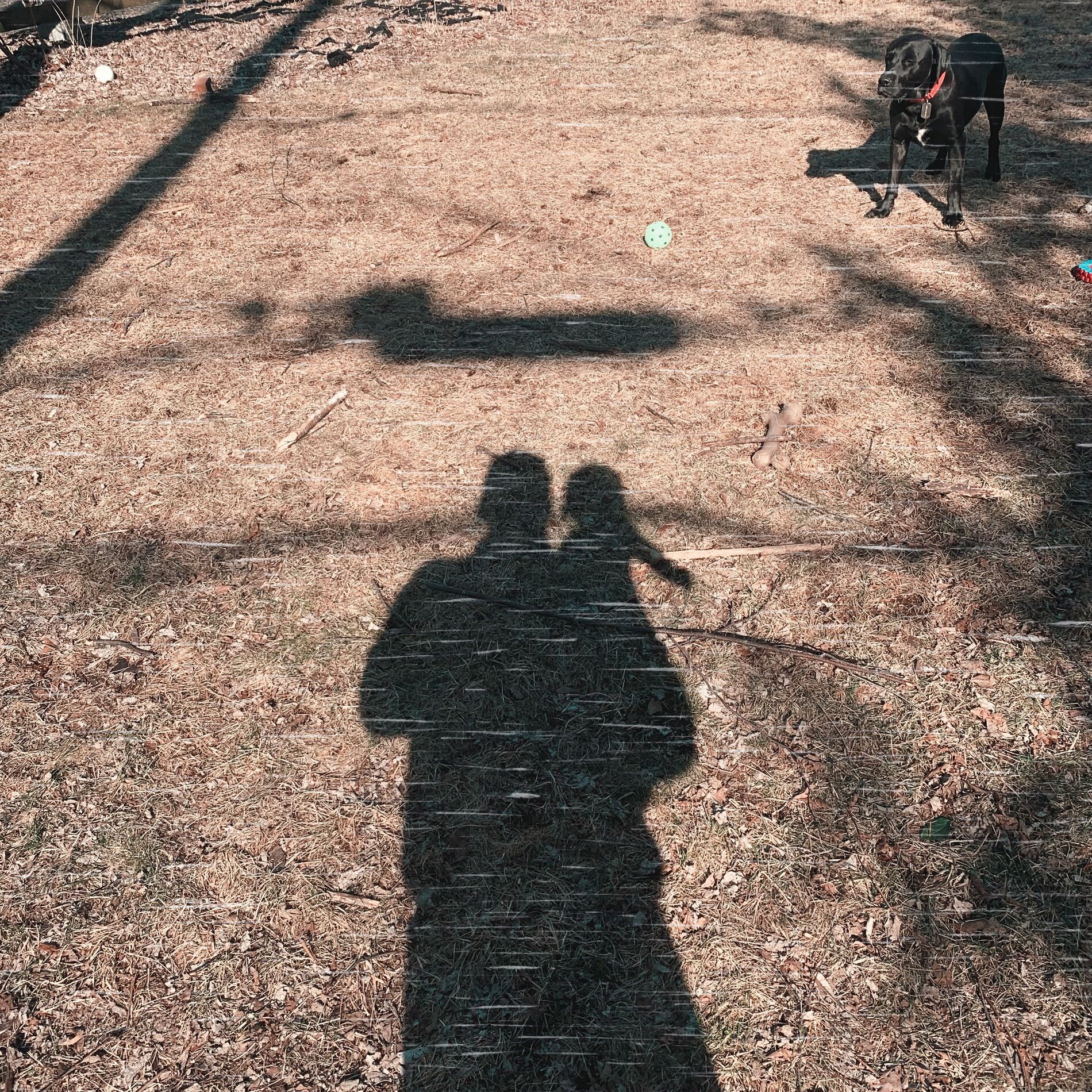 Album cover of maybe this year
