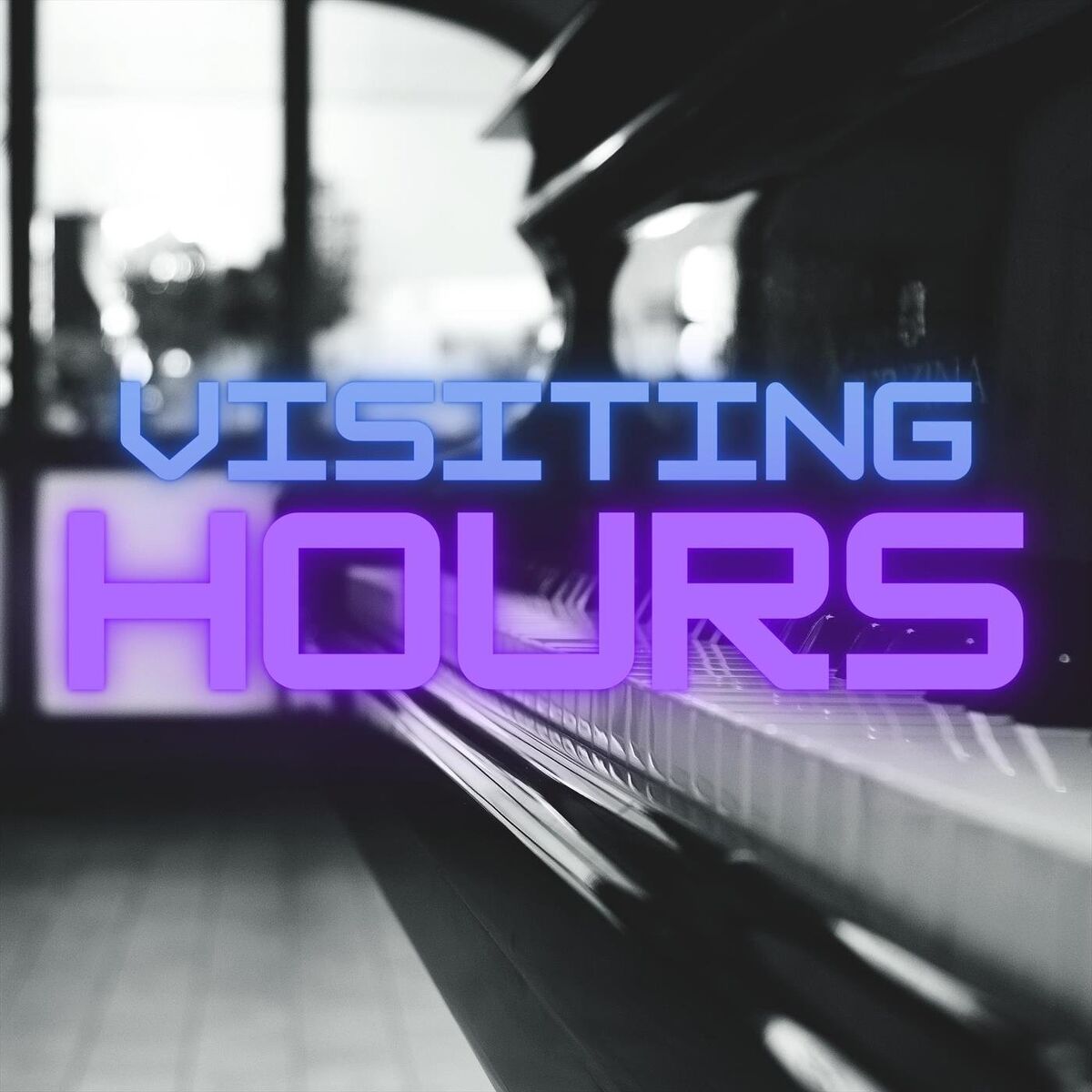 Album cover of Visiting Hours