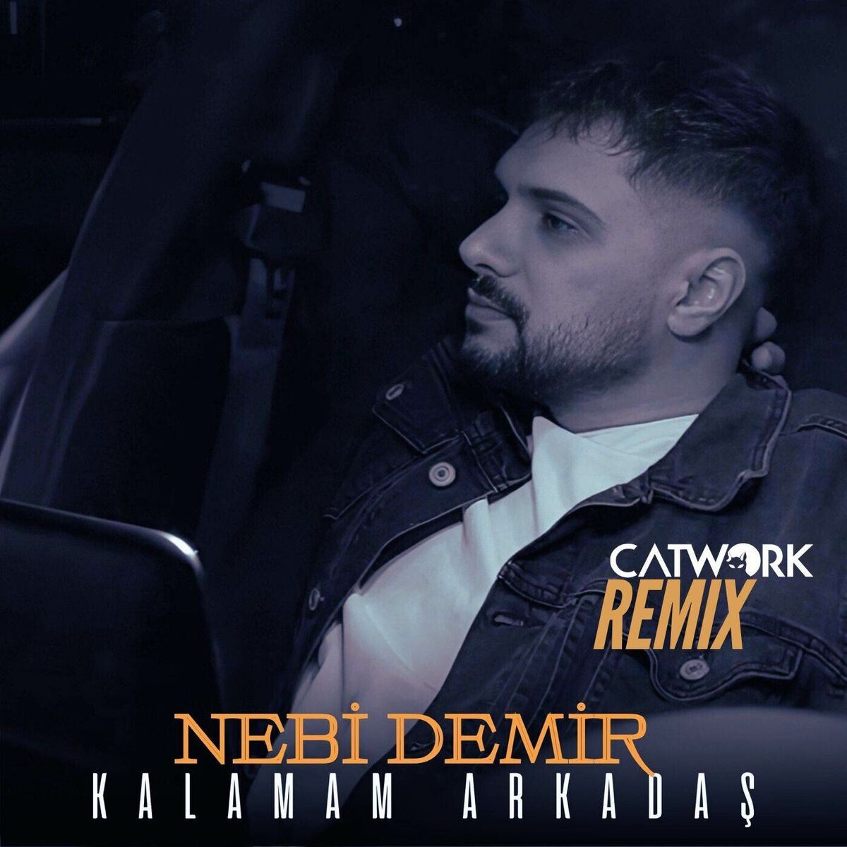 Album cover of Kalamam Arkadaş (Catwork Remix)