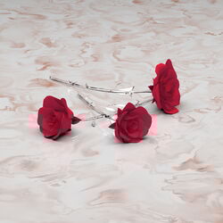 Cover of Tu Y Yo