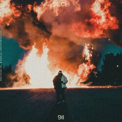 Cover of 911