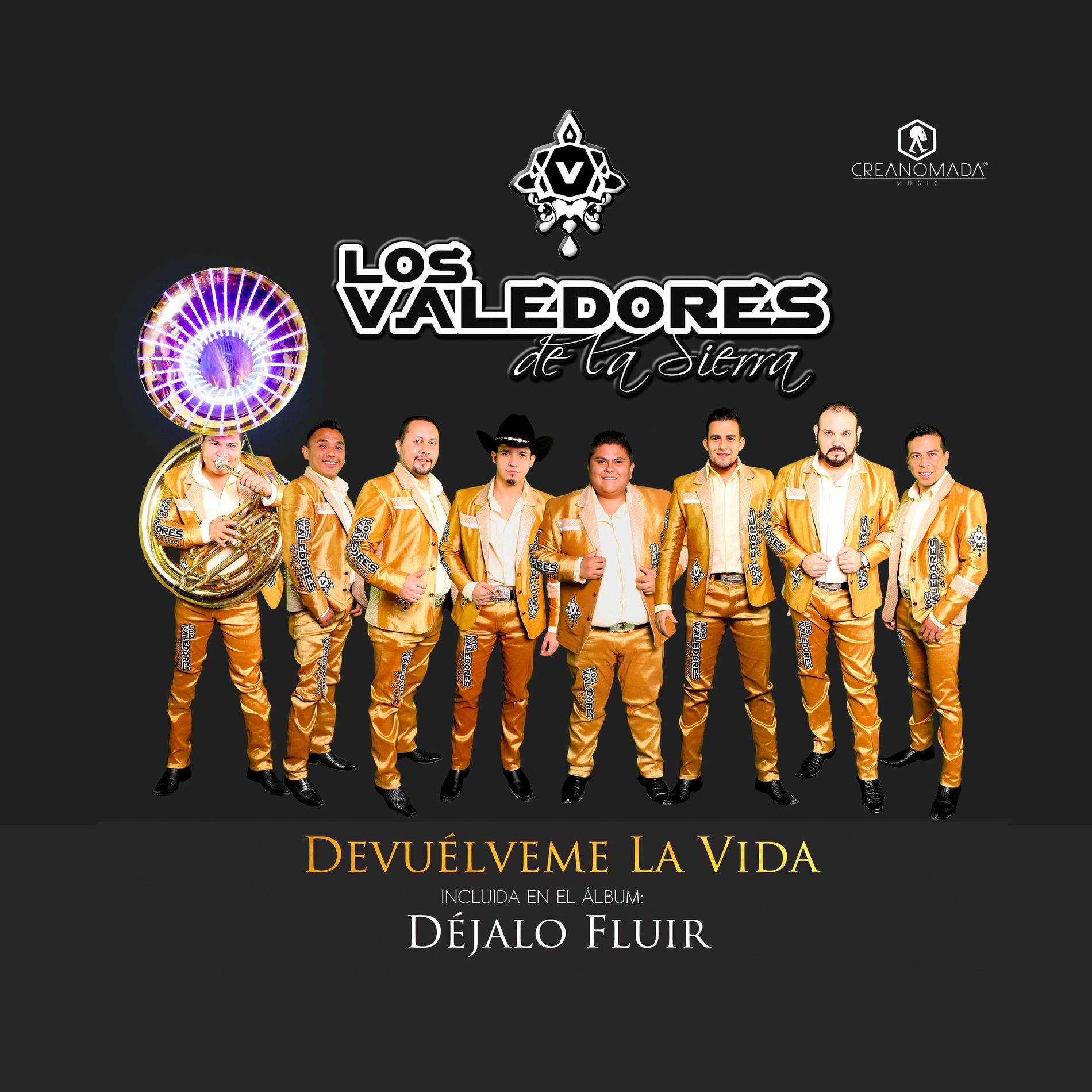 Album cover of Devuélveme la Vida