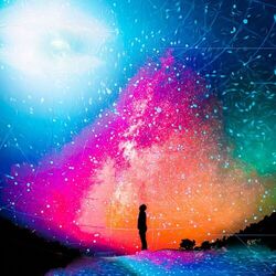 Cover of Walking On Stars