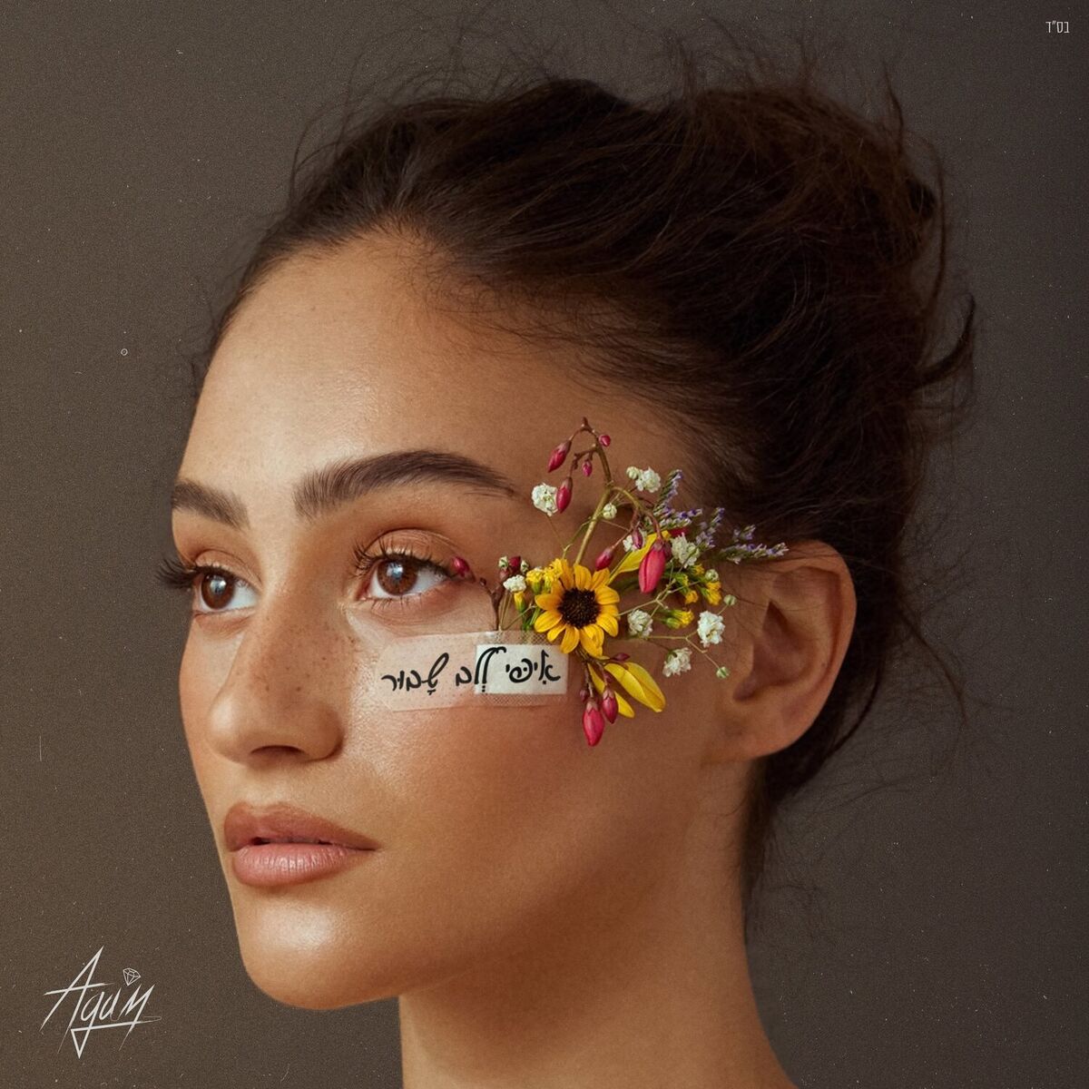 Album cover of לא סובלת אותך