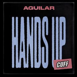 Cover of Hands UP