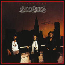 Cover of Living Eyes
