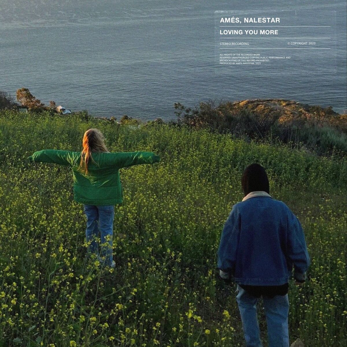 Album cover of Loving You More