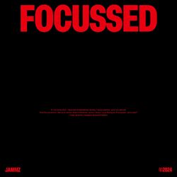 Cover of Focussed
