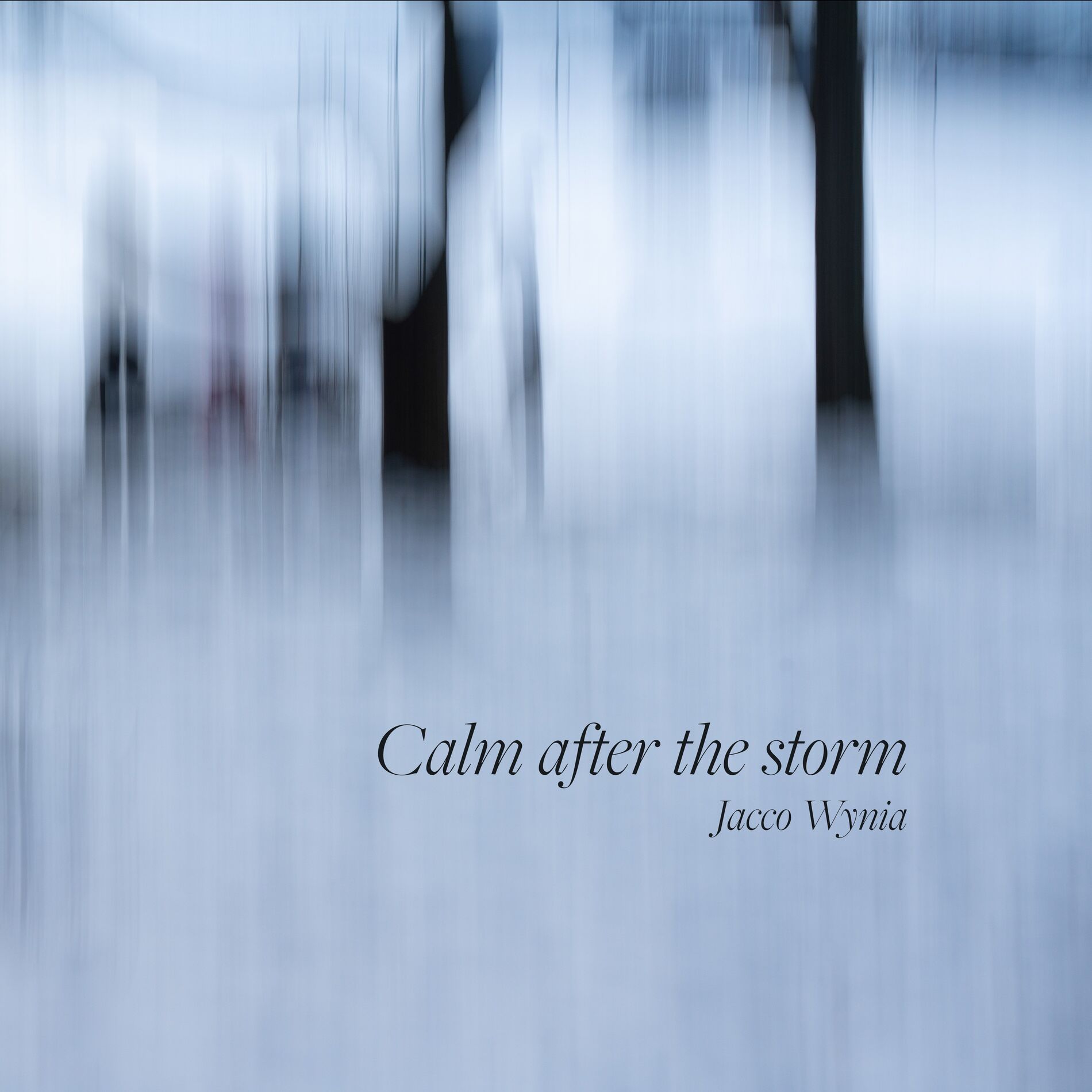 Album cover of Calm after the storm