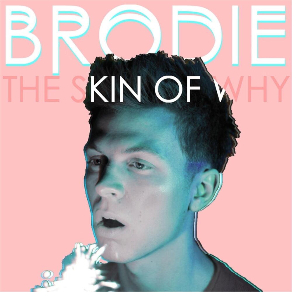 Picture of The Skin of Why