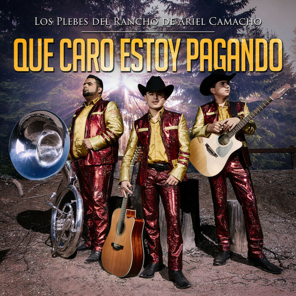 Picture of Qué Caro Estoy Pagando