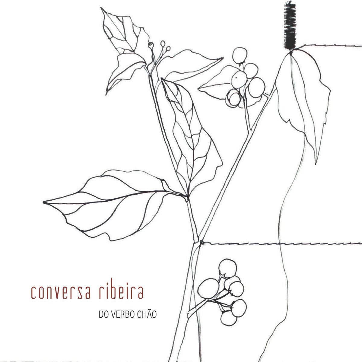 Album cover of Folia