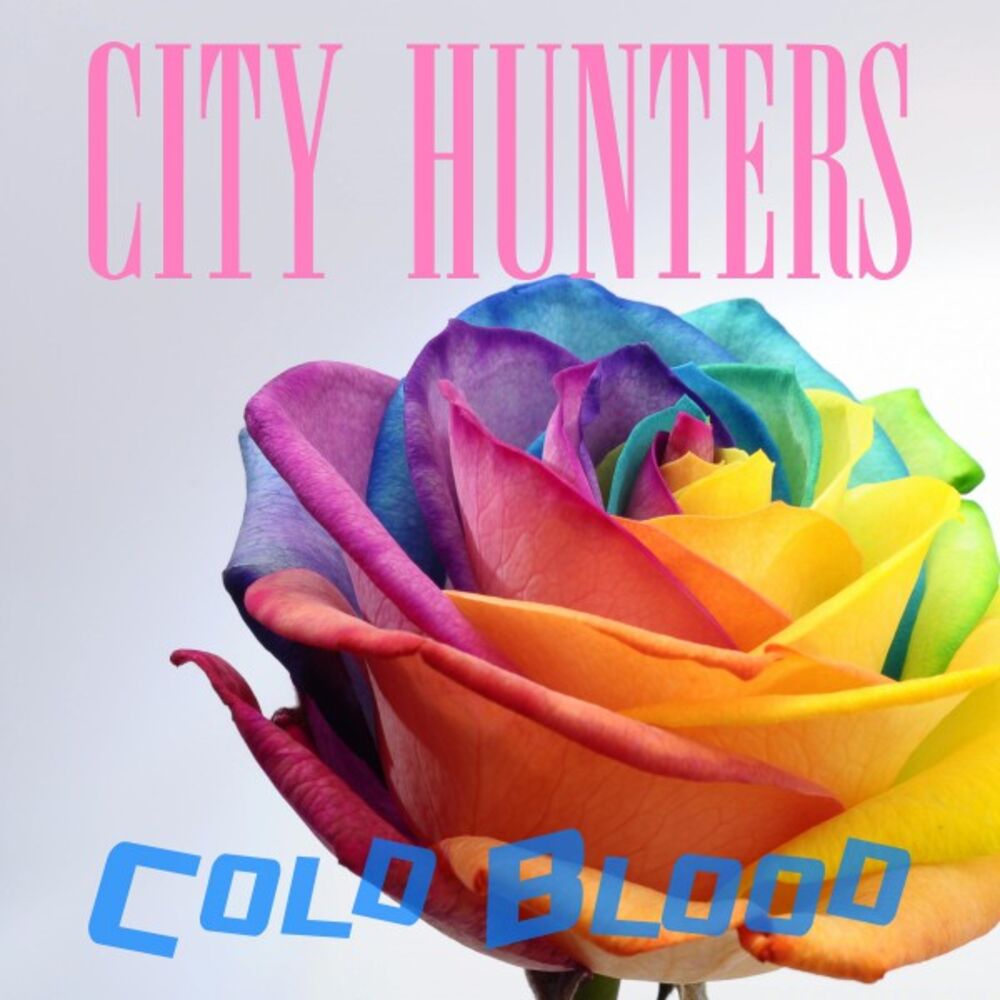 Picture of City Hunters