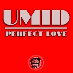 Cover of Perfect Love