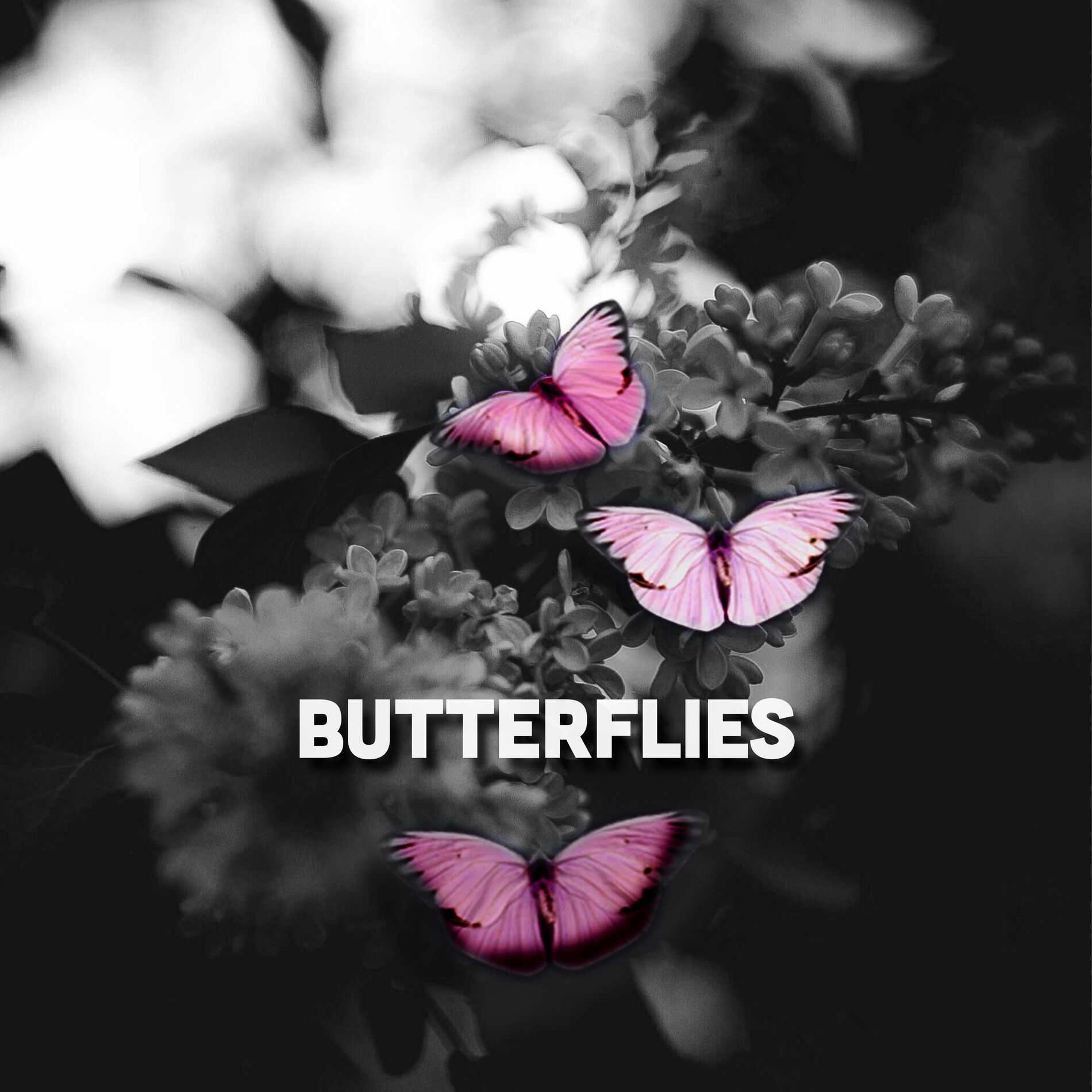 Album cover of Butterflies