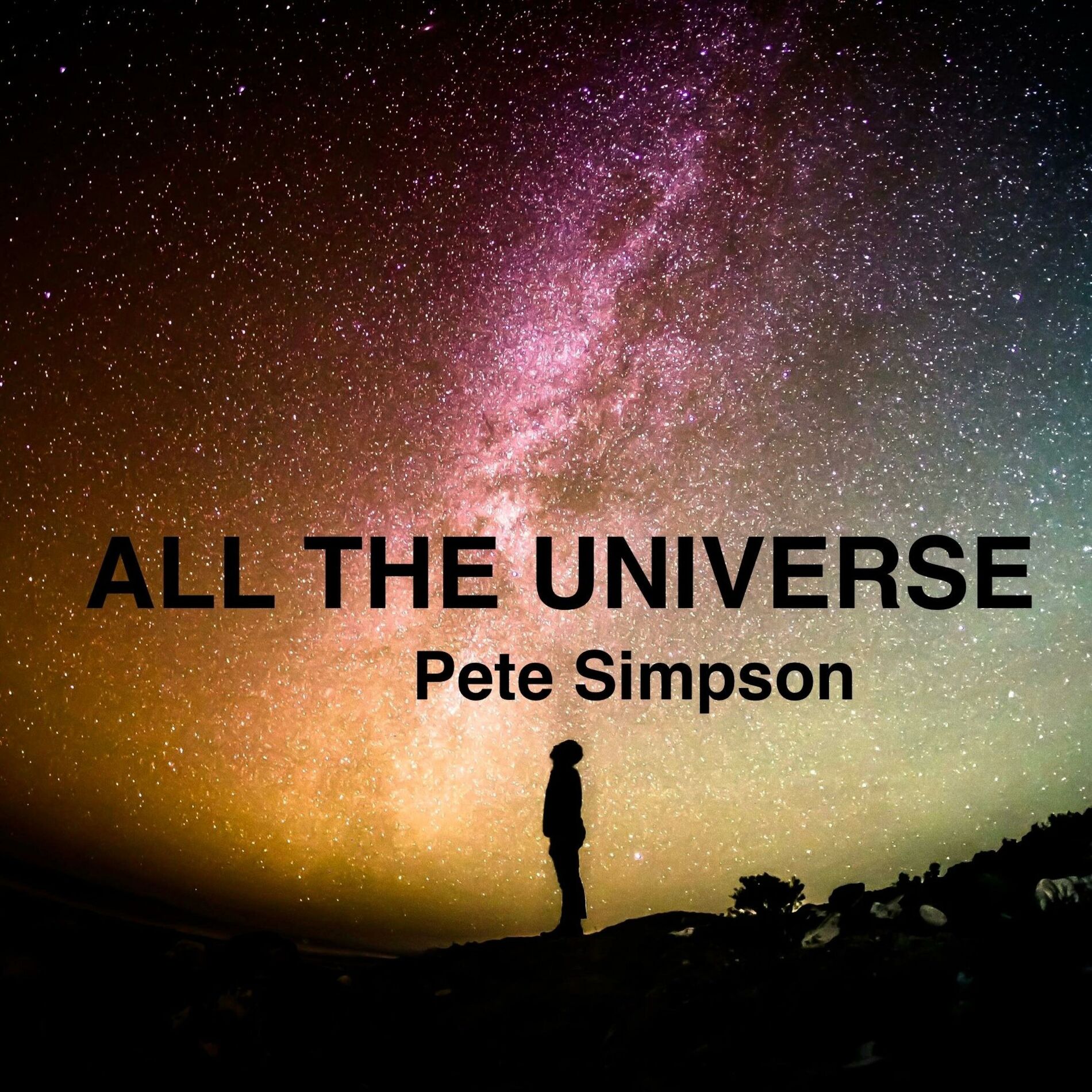 Album cover of All The Universe