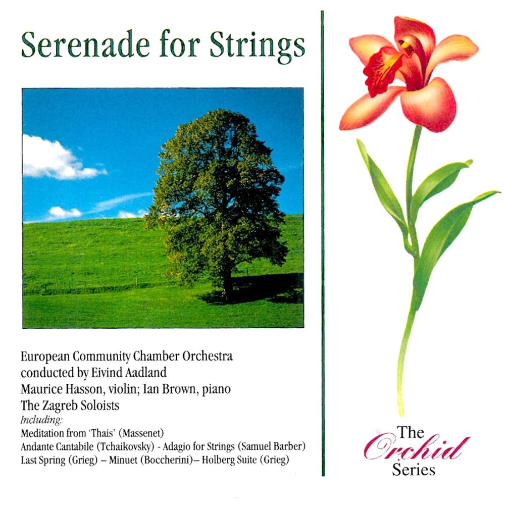 Picture of Serenade For Strings