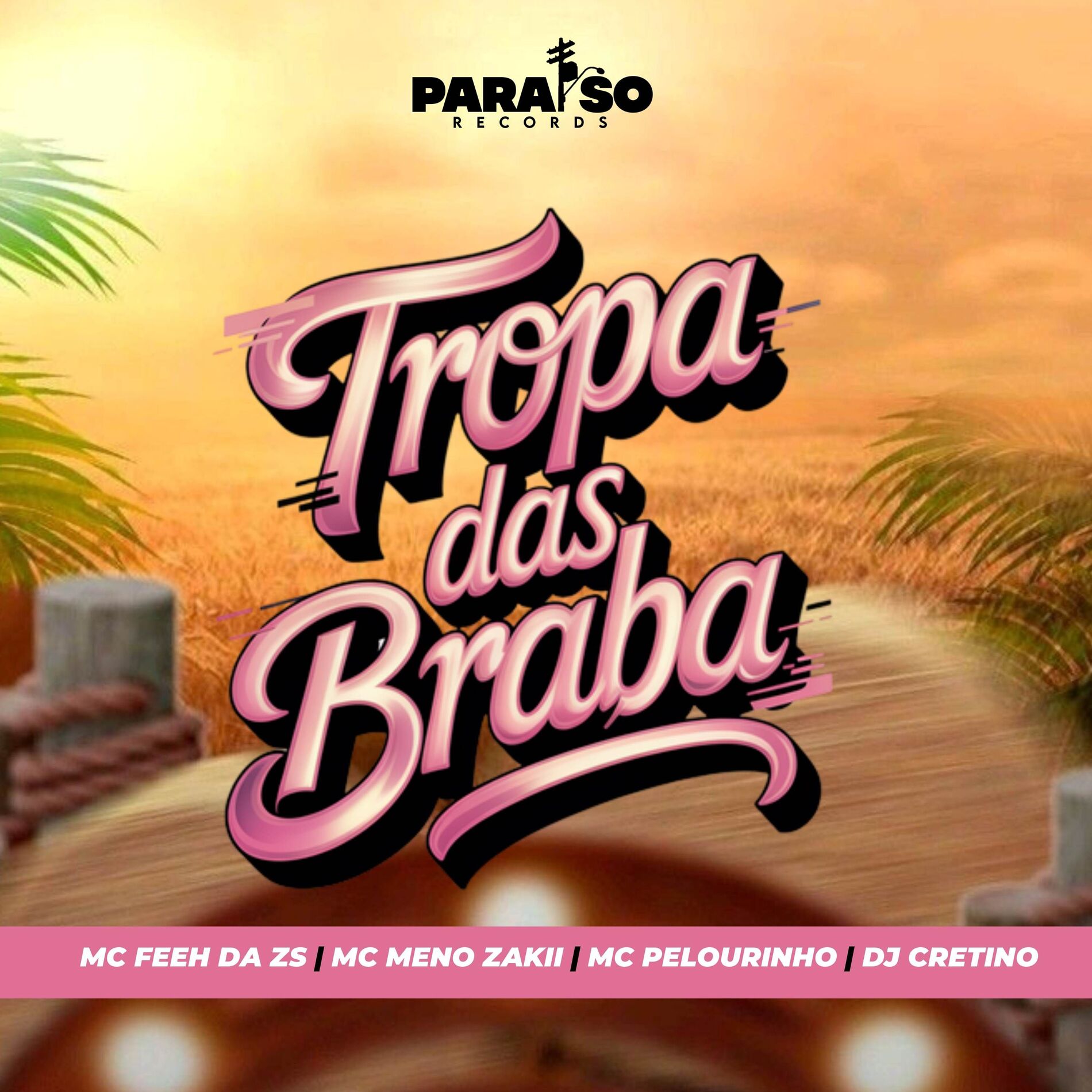 Album cover of TROPA DAS BRABAS