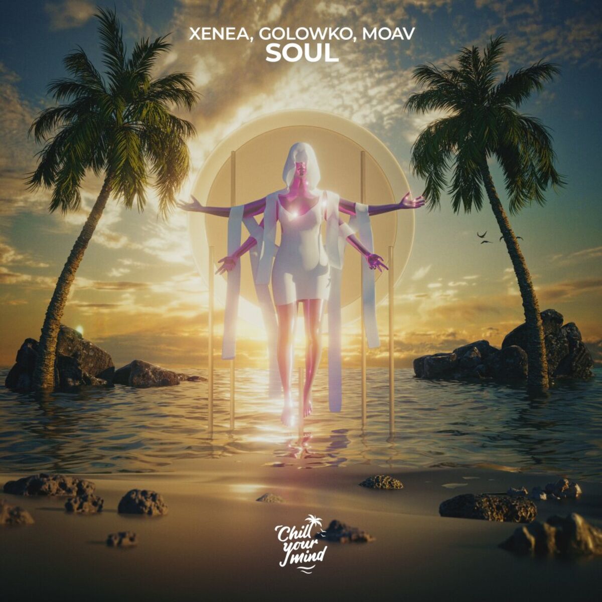 Album cover of Soul