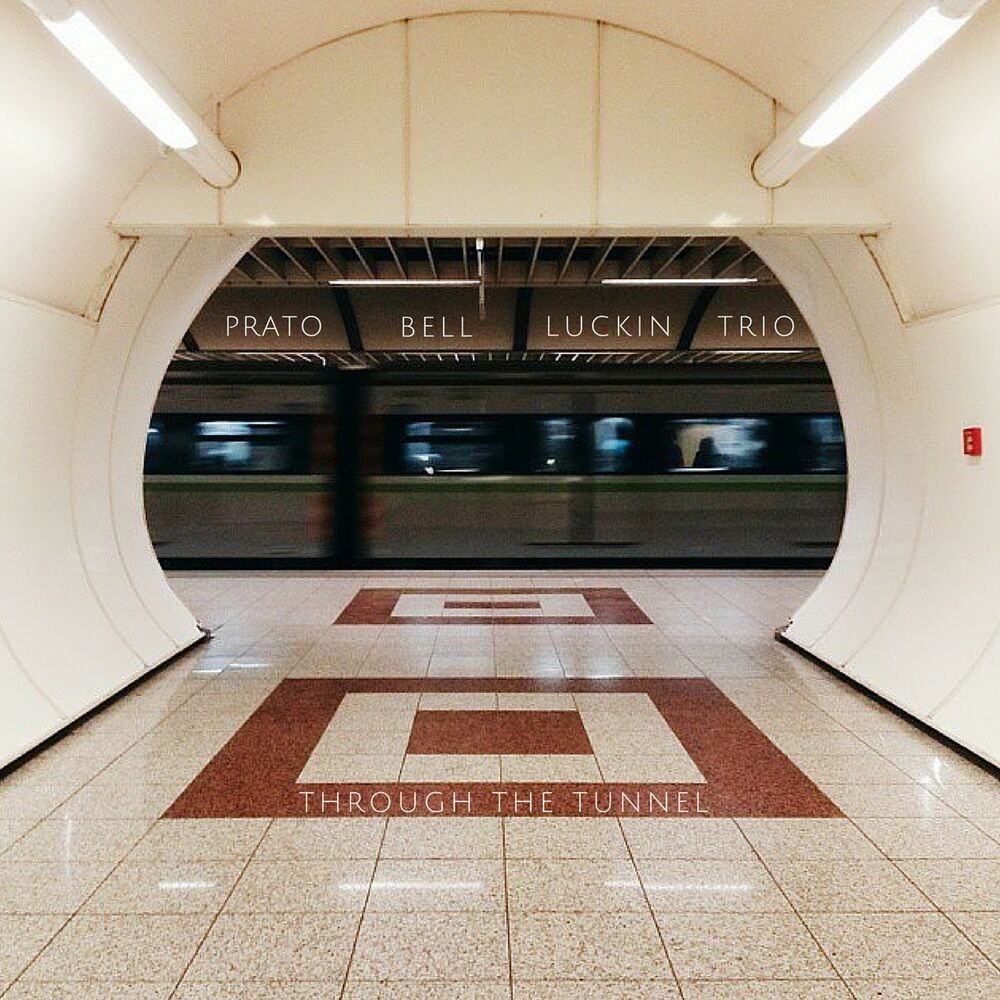 Picture of Through the Tunnel