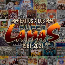 Cover of 40 Exitos a los 40